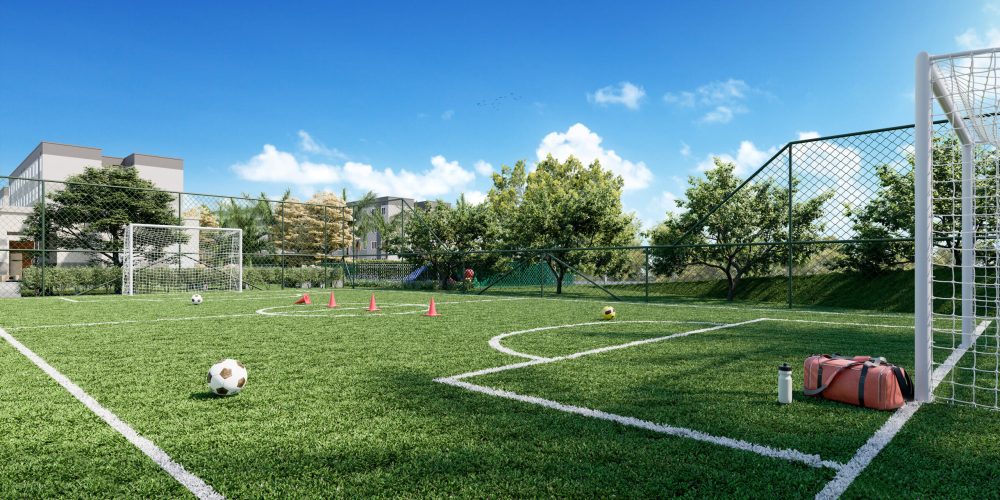 10 Campo gramado