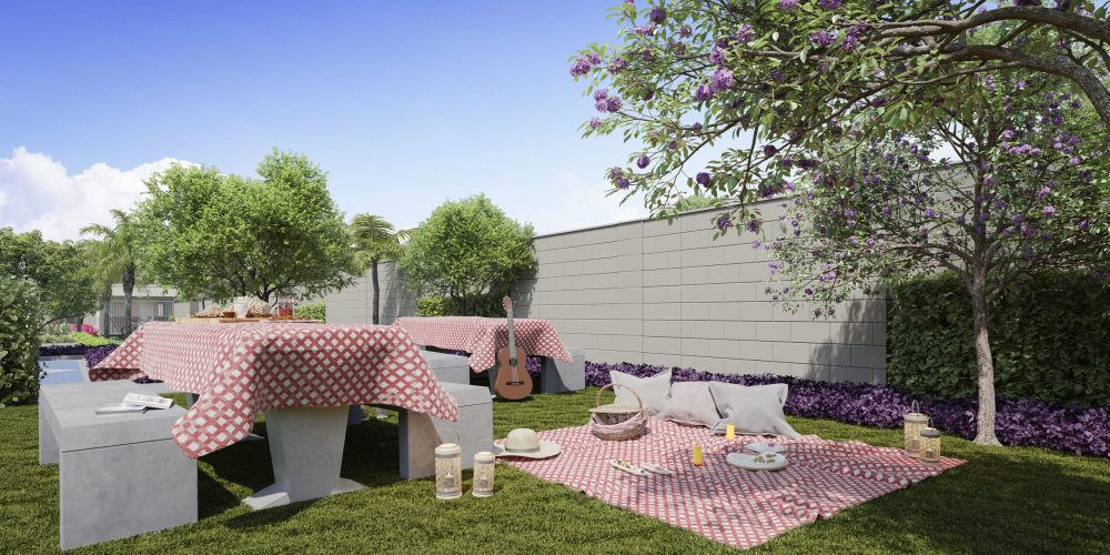11 Pic nic